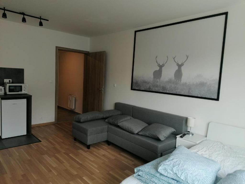 Brand New Studio Apartment #71 With Free Secure Parking In The Center Prag Exterior foto